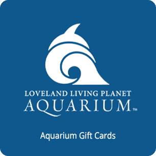 Aquarium Gift Card 