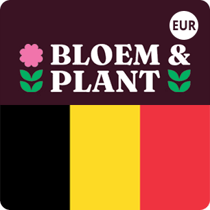 Bloem & Plant Gift Card 