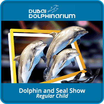 Dubai Dolphinarium Dolphin and Seal Show – Regular Child Global product image